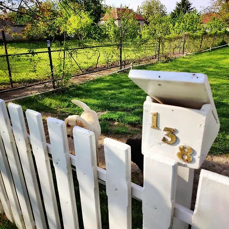 Hedonists Paradise *