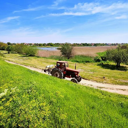Feriehus Hedonists Paradise *