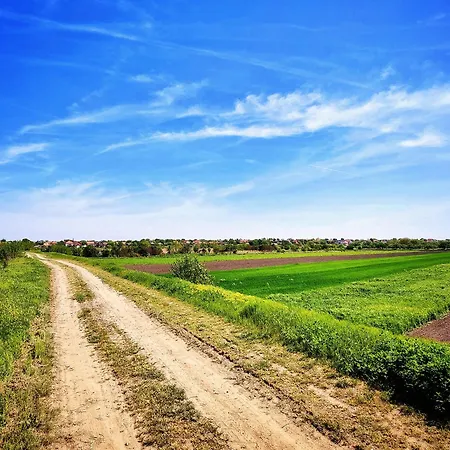 別荘 Hedonists Paradise Omoljica