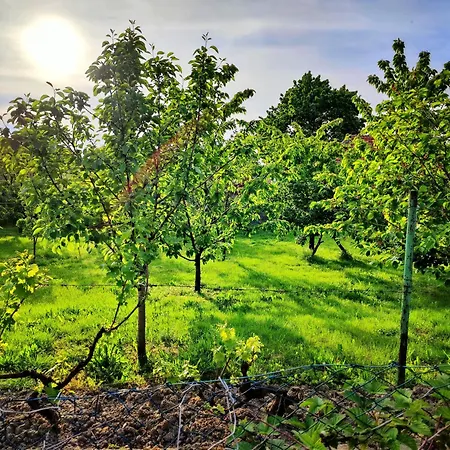 Hedonists Paradise 別荘