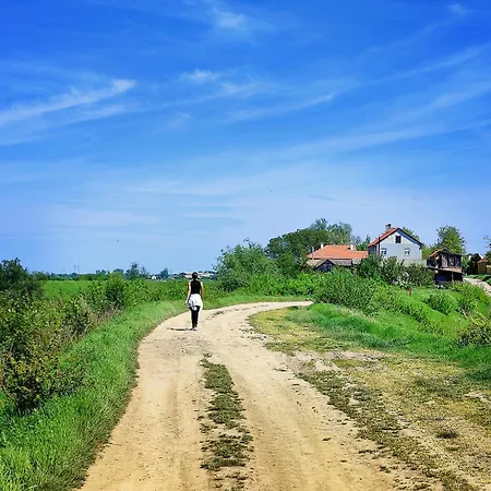 Hedonists Paradise *