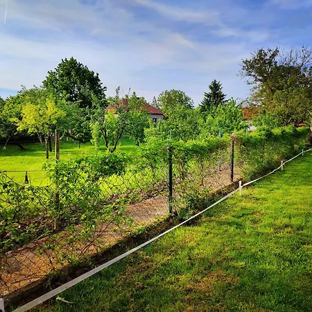 Hedonists Paradise 別荘 *