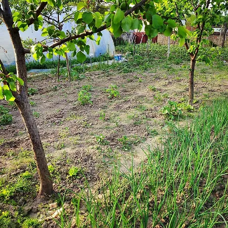 別荘 Hedonists Paradise Omoljica