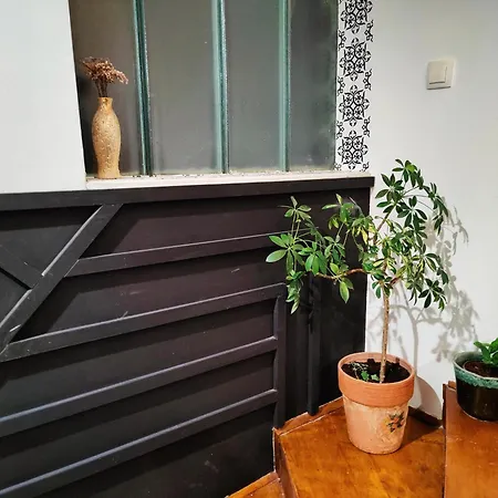 Hedonists Paradise 別荘