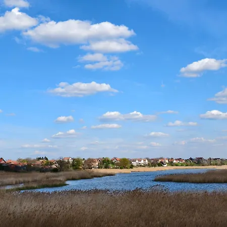 別荘 Hedonists Paradise Omoljica