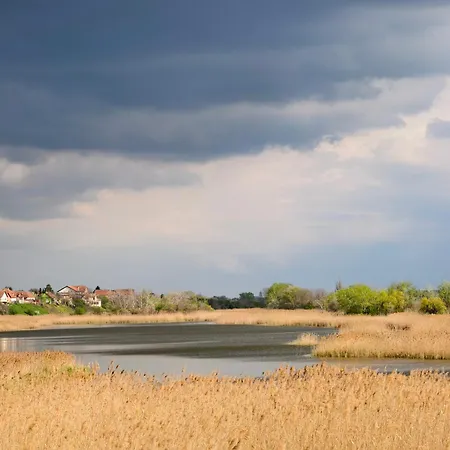 別荘 Hedonists Paradise