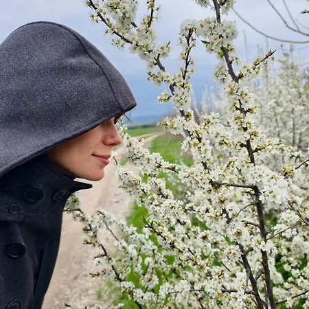 別荘 Hedonists Paradise Omoljica