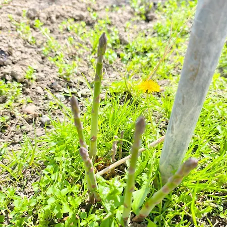 Hedonists Paradise *